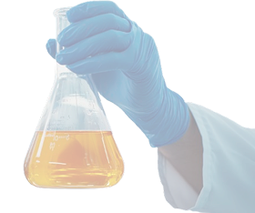 Lab