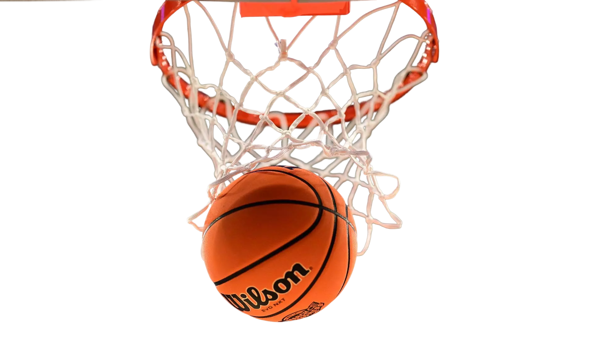 Basketball Goal Layout Visual